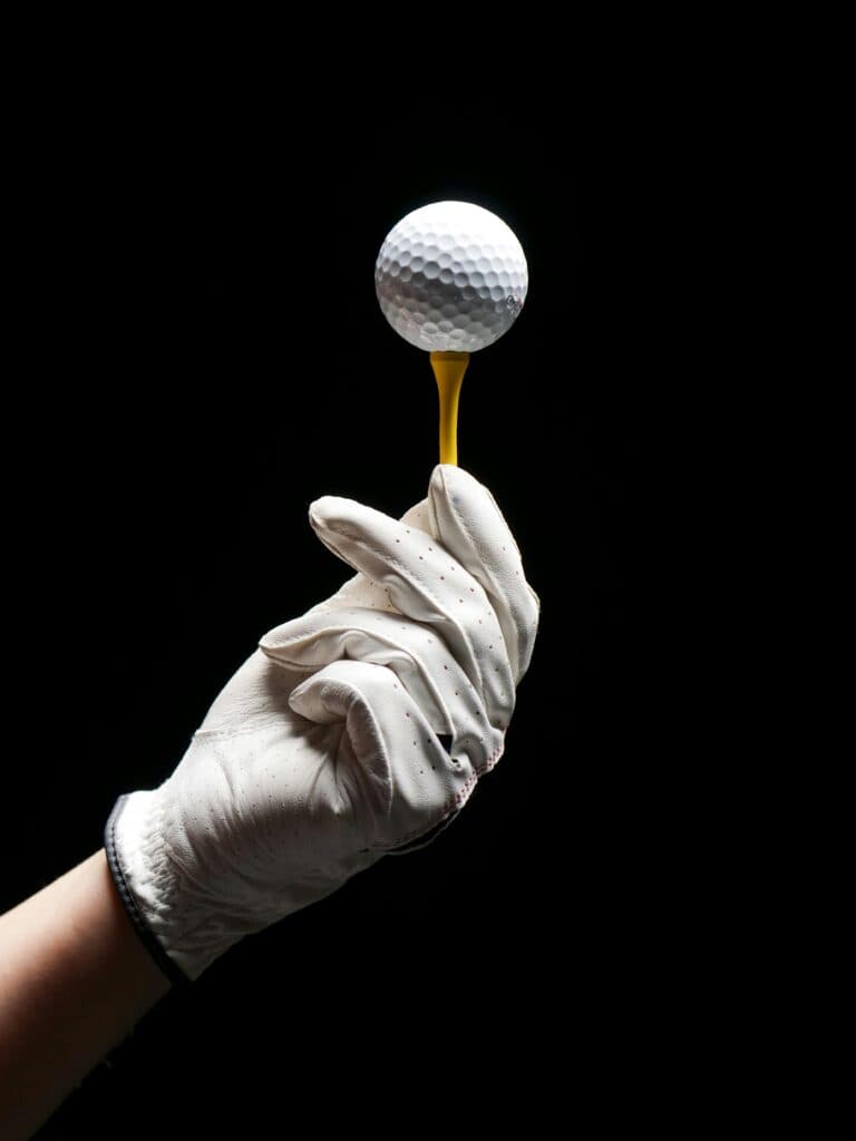 18 Lab Golf - Photo 4