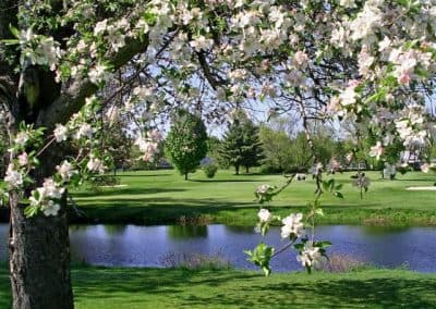 Angus Lea Golf Course - Photo 5