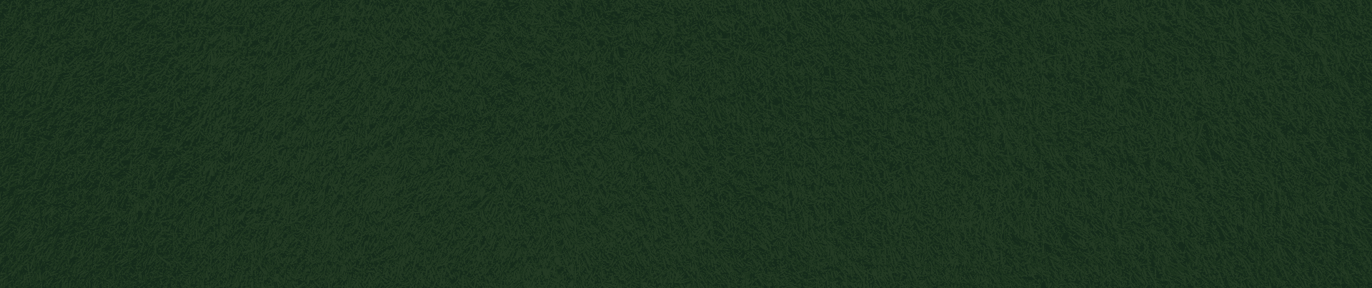 The Green 973 - Photo 5