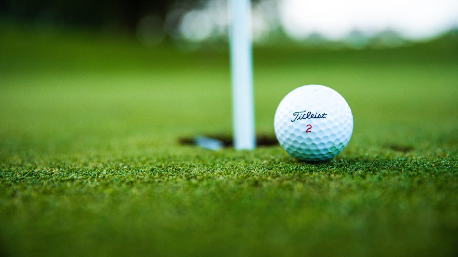 Back 9 Lounge - Photo 4
