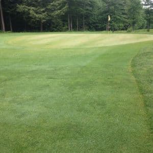 Beechwood Golf Club - Photo 5