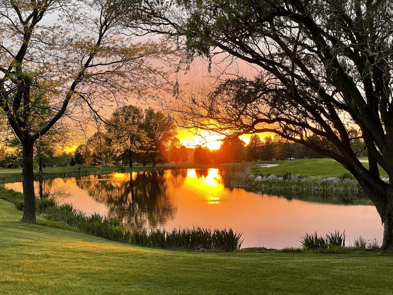 Foxchase Golf Club - Photo 5