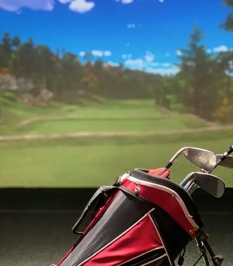 Chip Shots - Photo 5