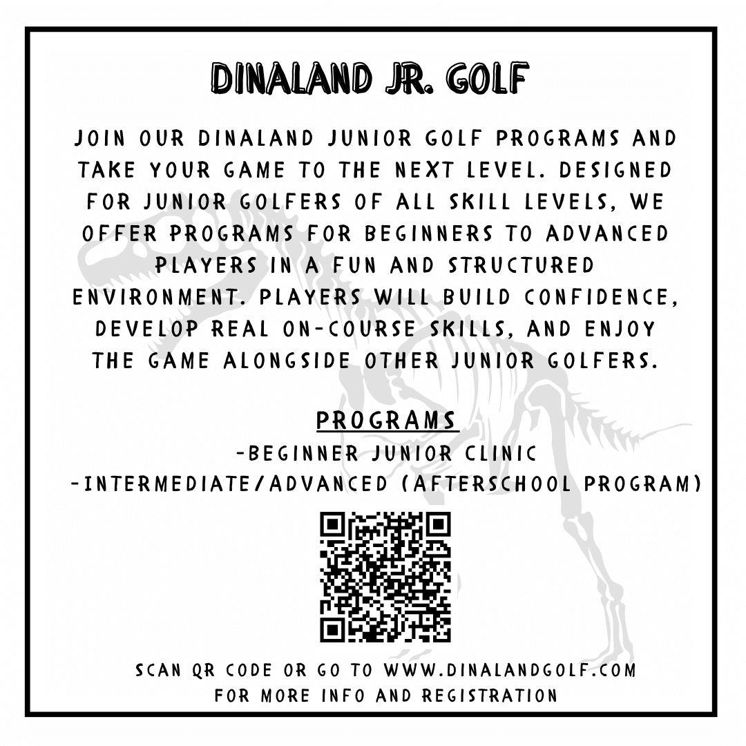Dinaland Simulator Lounge - Photo 4