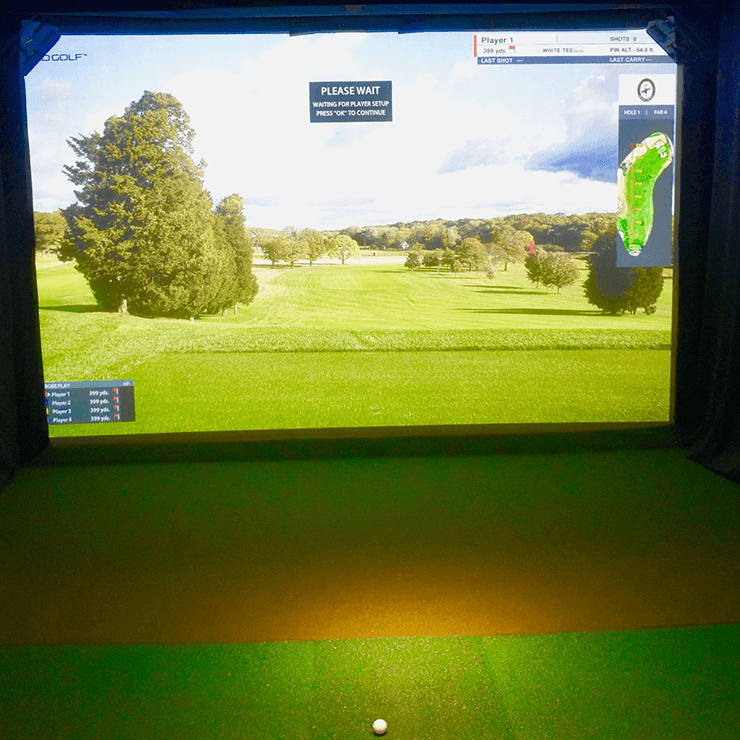 Dirty Birdie Lounge and Golf Bar - Photo 6