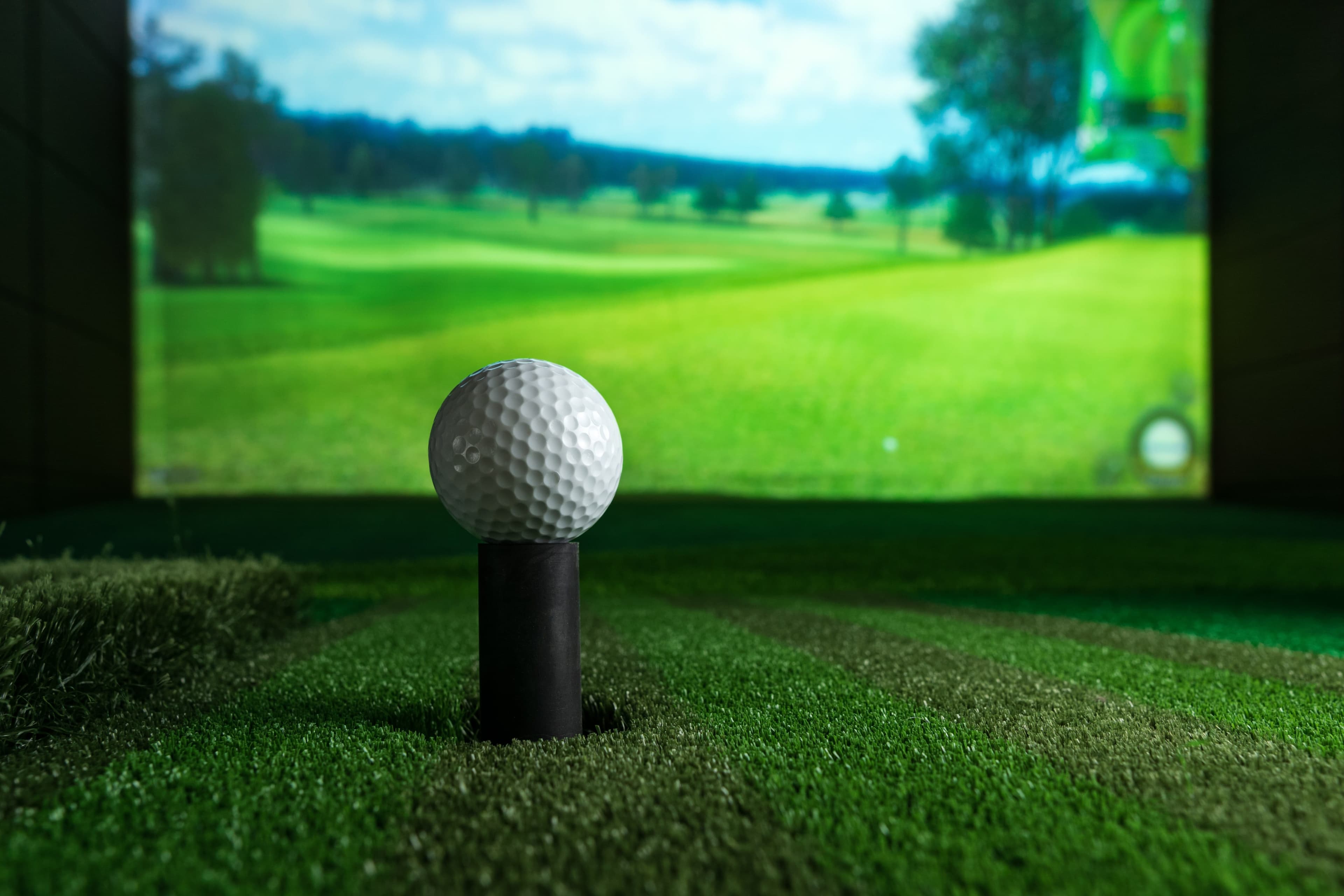 Grip It Virtual Golf and Bar - Photo 3