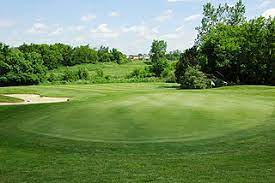 Come Play Inkster Valley - Photo 5