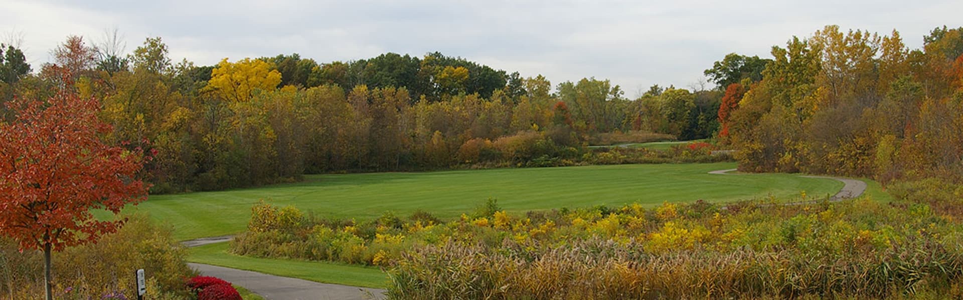Come Play Inkster Valley - Photo 4