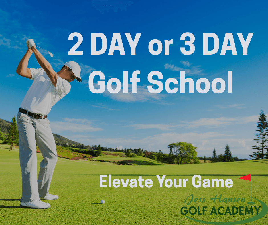 Jess Hansen Golf Academy Indoor Golf - Photo 3