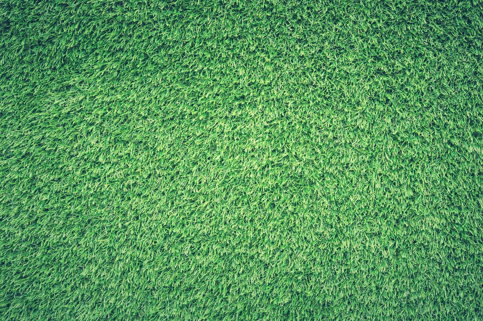Imagen Golf - Photo 3