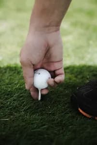 The Dogleg Golf Club - Photo 4