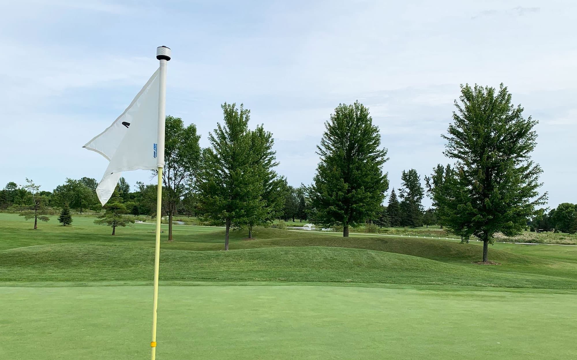 Mid Vallee Golf Course - Photo 2
