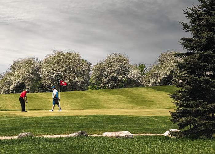 Moss Ridge Golf Club - Photo 4
