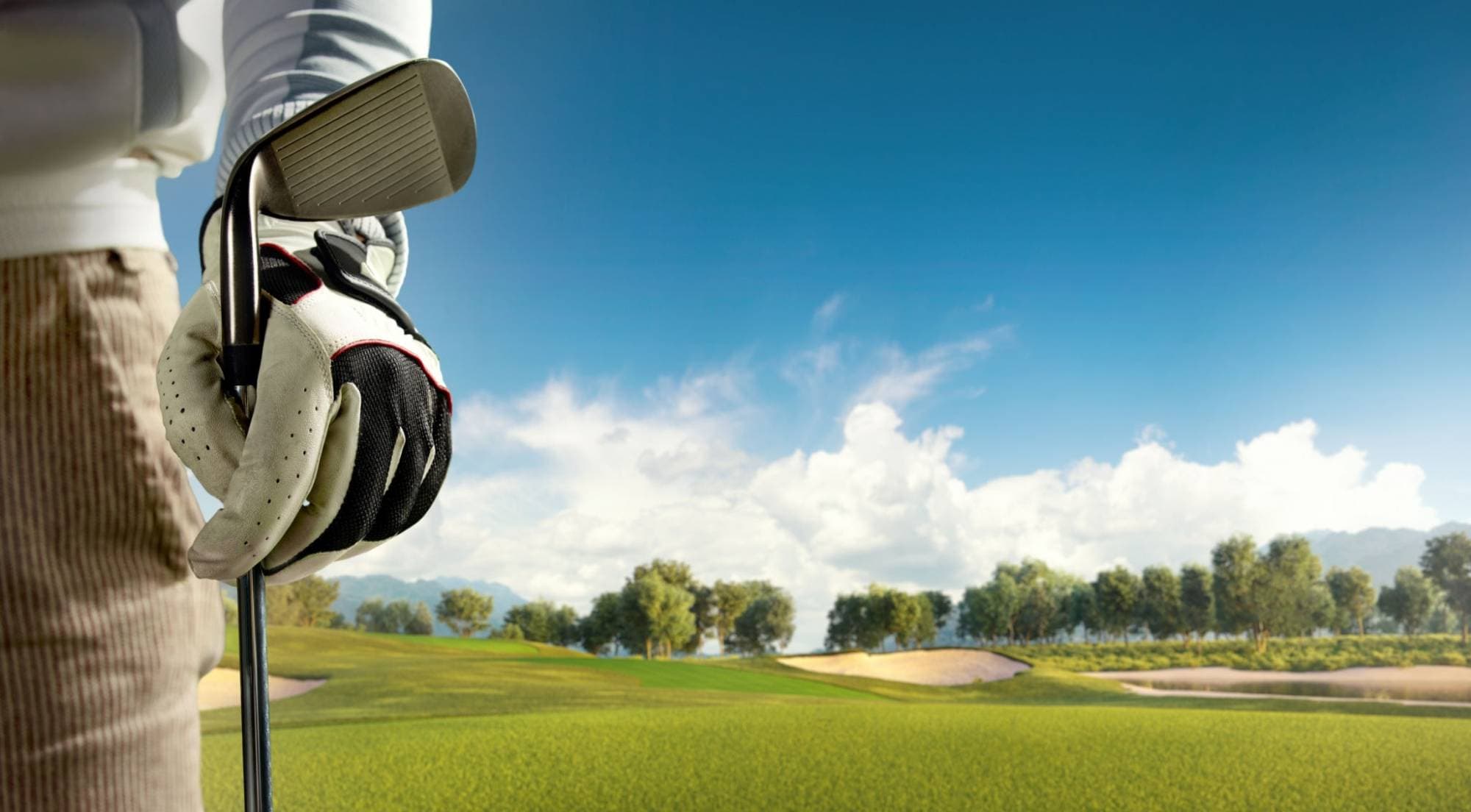 Albatross Screen Golf - Photo 5