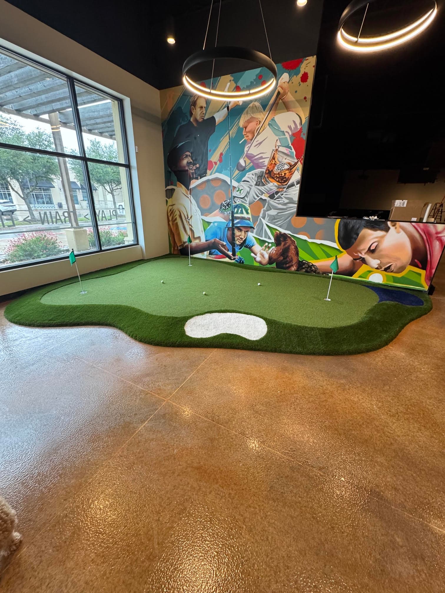 X-Golf Alliance Fort Worth - Photo 4