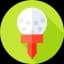 Practice Swing Center - Photo 2