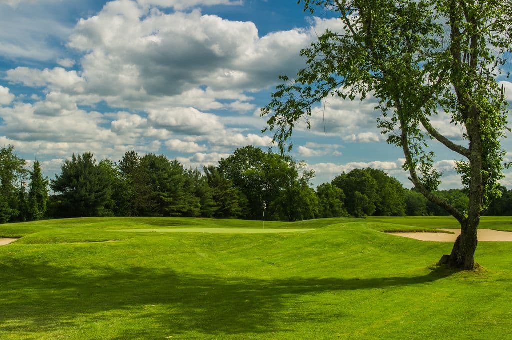 Raceway Golf Club - Photo 1