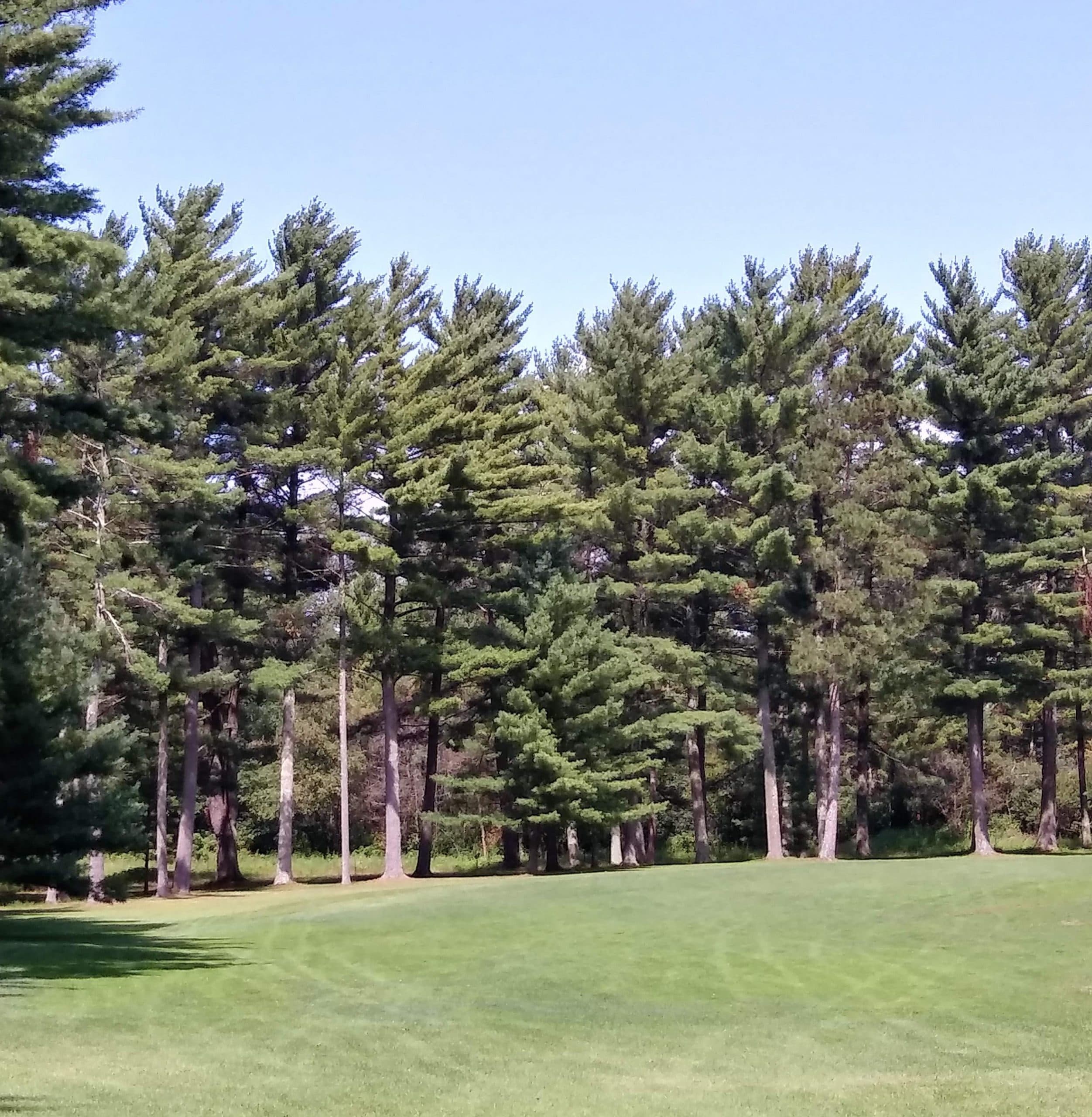 Skyline Golf Club - Photo 2