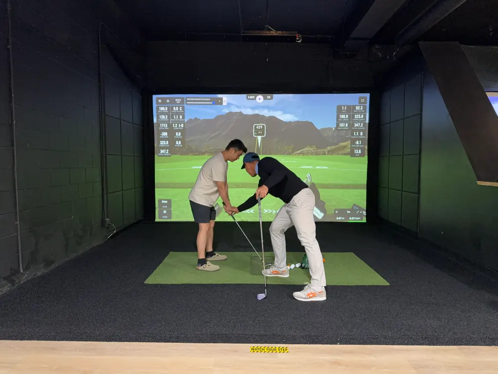 Swing Theory Indoor Golf - Photo 4
