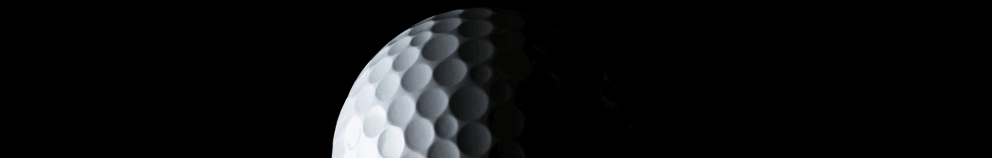 The Golf Dome - Photo 6
