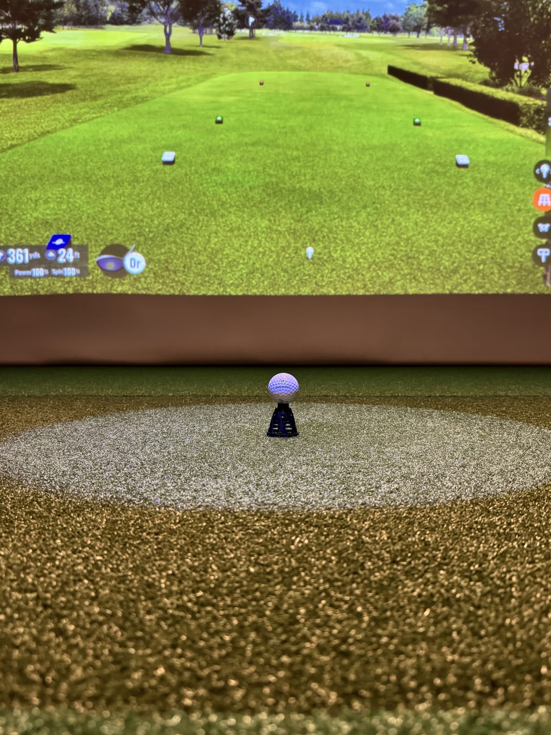 24 Swing - Photo 6