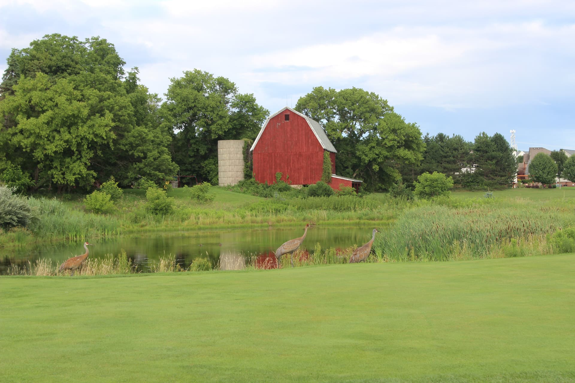 Beacon Hill Golf Club - Photo 5