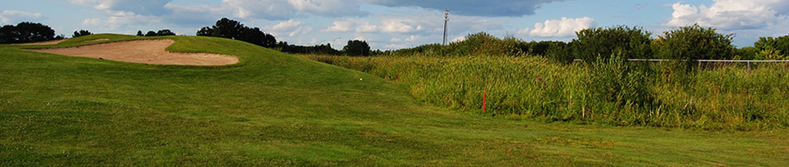 Bulrush Golf Club - Photo 2