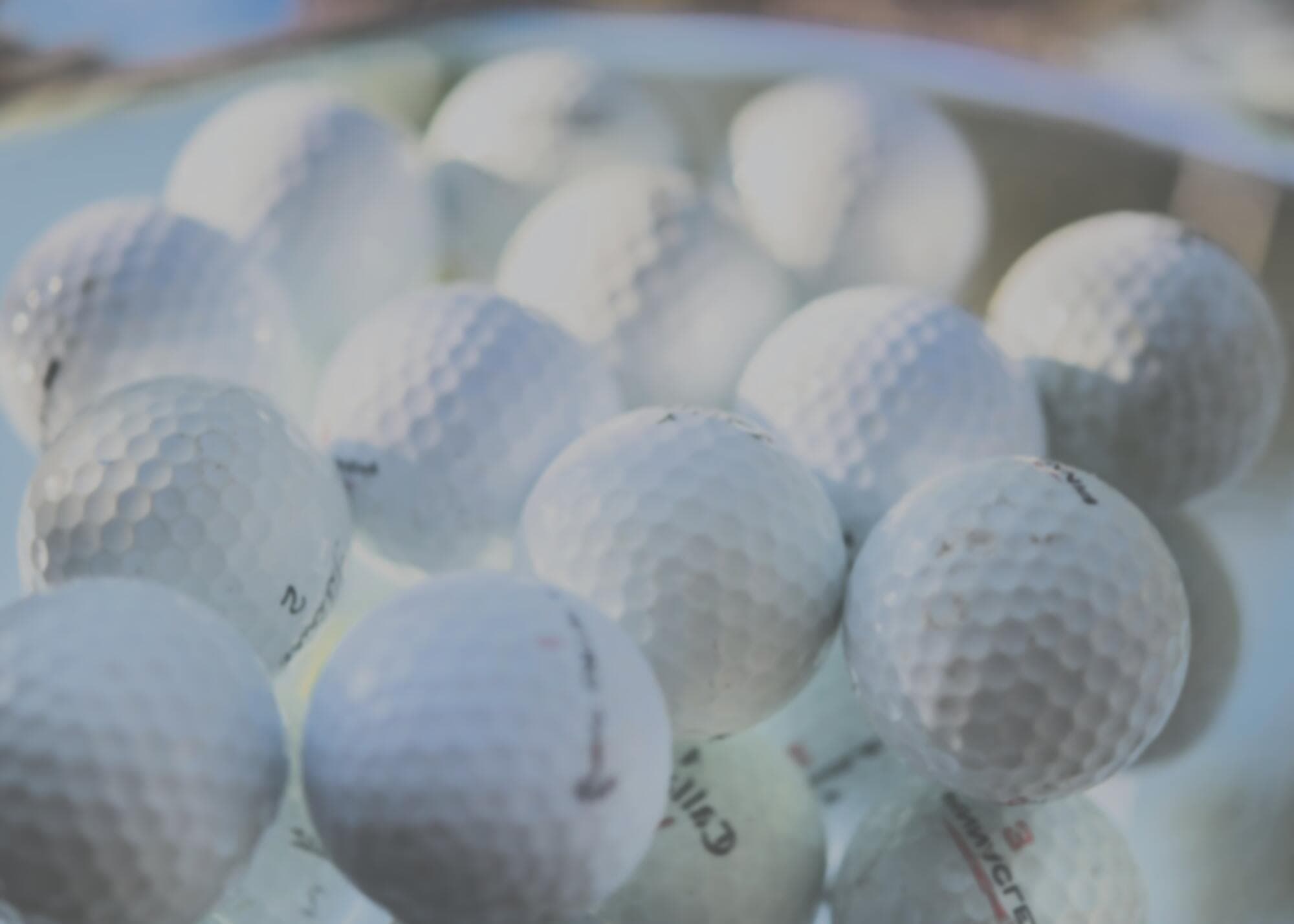 Private Indoor Golf - Photo 3