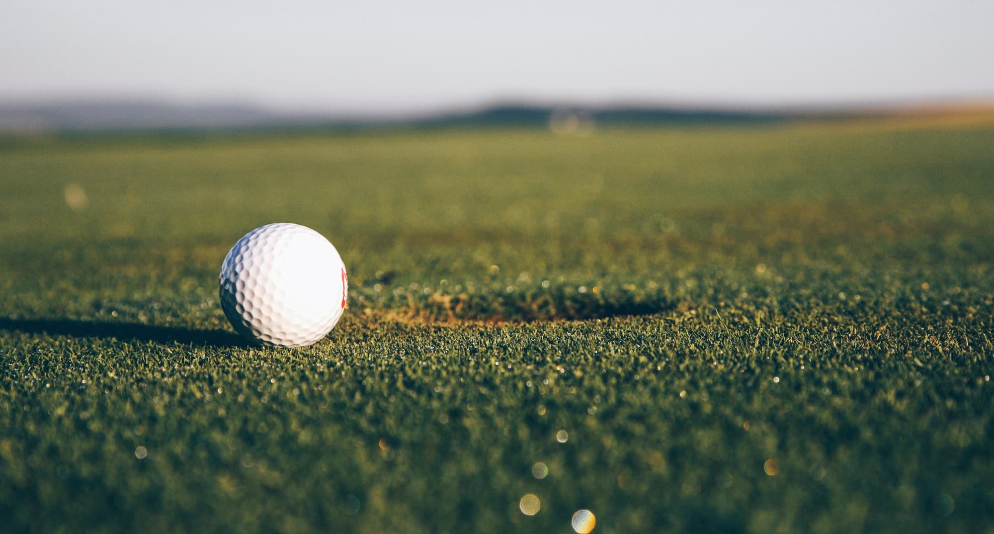 Private Indoor Golf - Photo 5