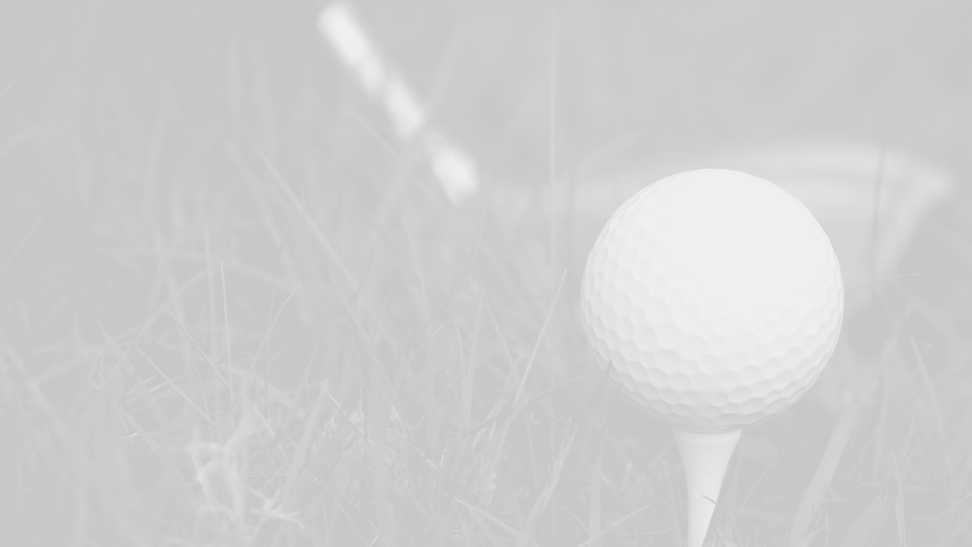Birdie Boyz Indoor Golf - Image 1