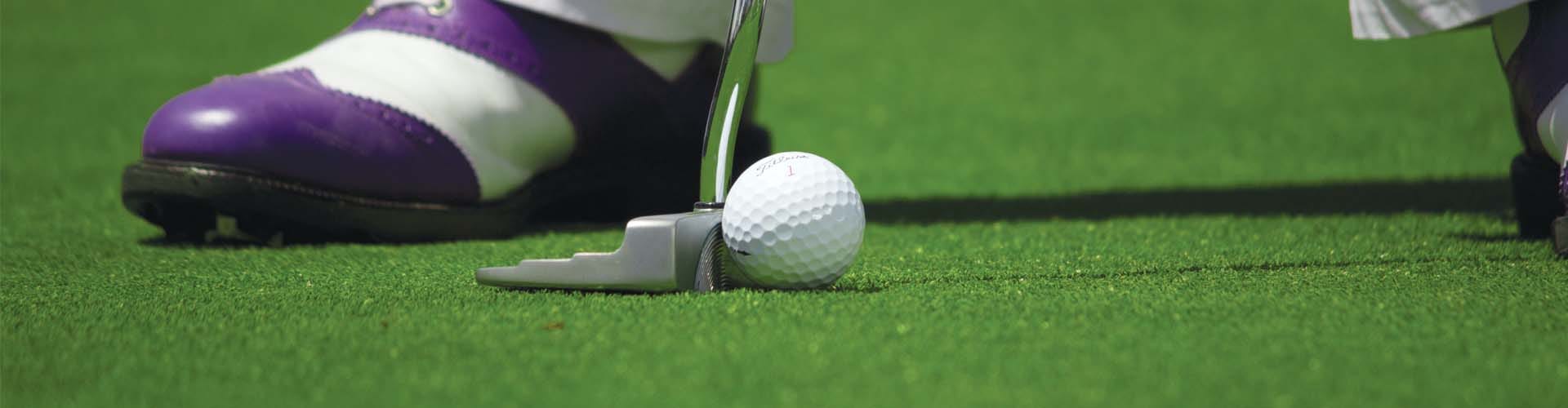 Greens Indoor Golf Simulators Maplewood, NJ - Image 1