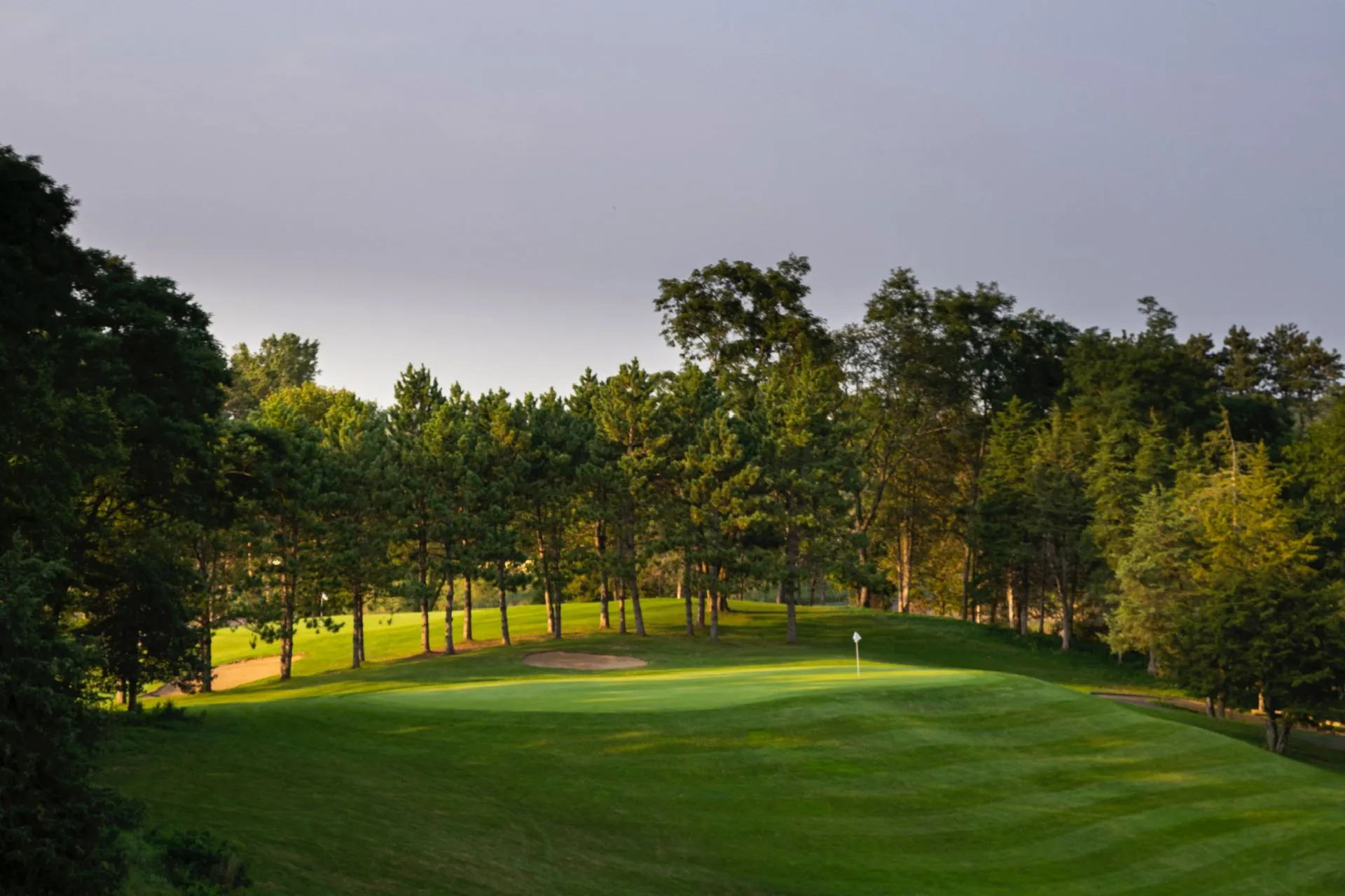 Scn Golf - Image 1