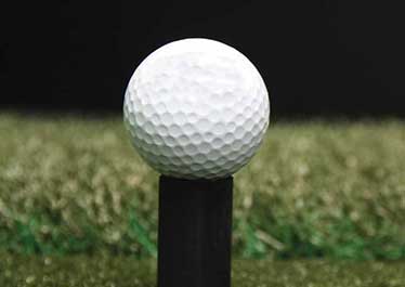 Swing Zone Golf - Image 1