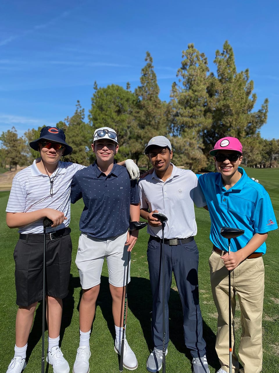The Golfpractice - Image 1