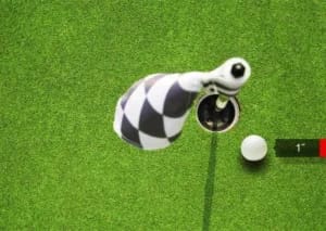 Dayandnight Golf - Image 1