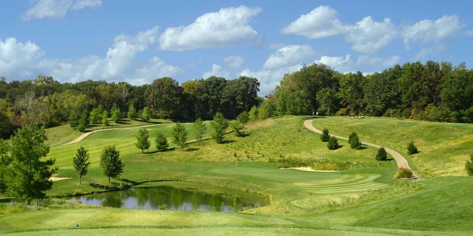Dp Golf - Image 1