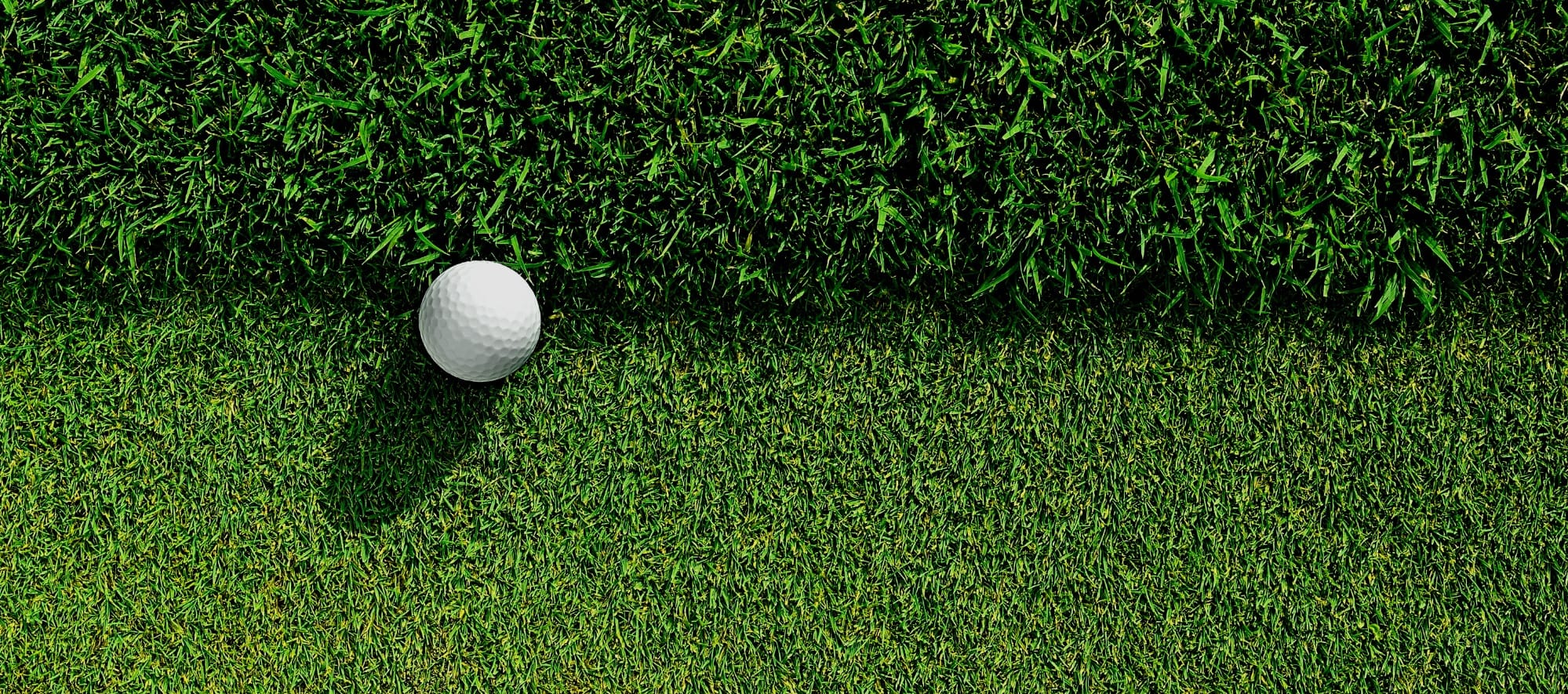 Dykeman Park Golf Course - Image 1