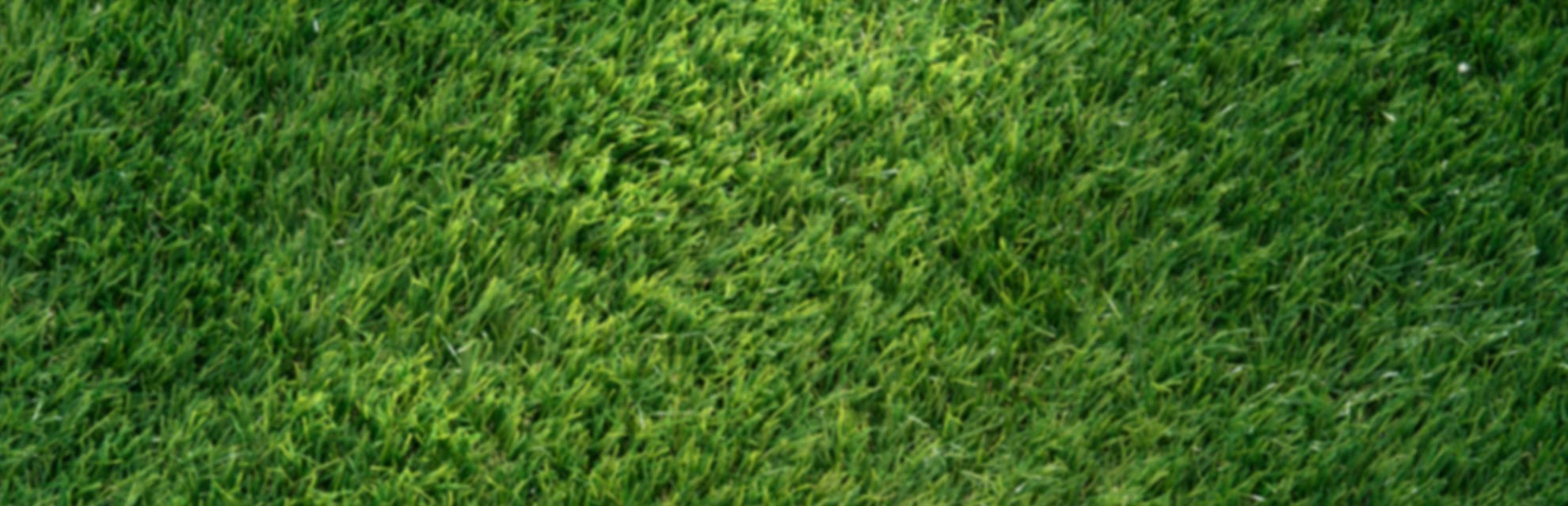 Ethos Golf - Image 1