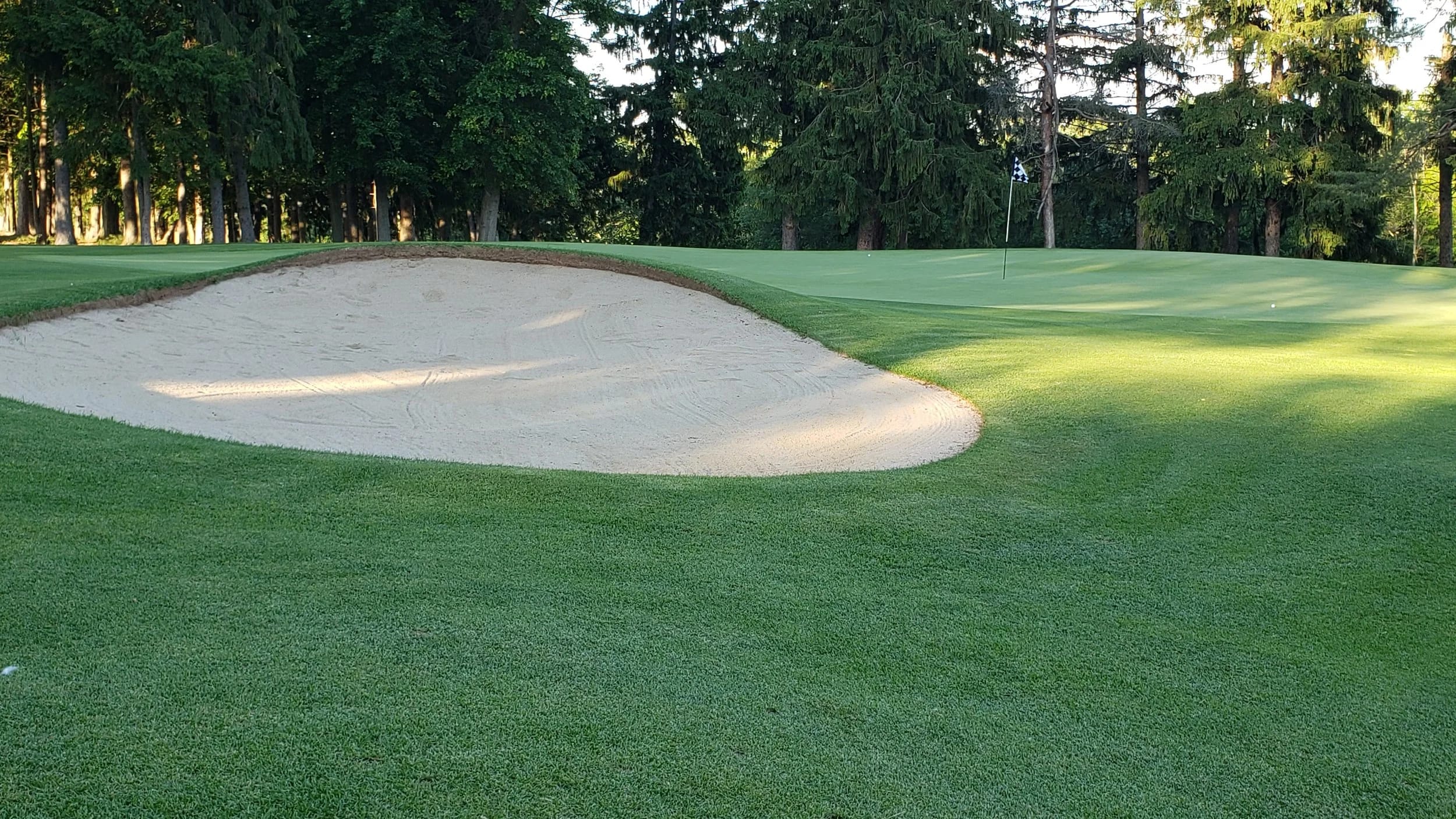 Next Level Golf, Inc. - Image 1