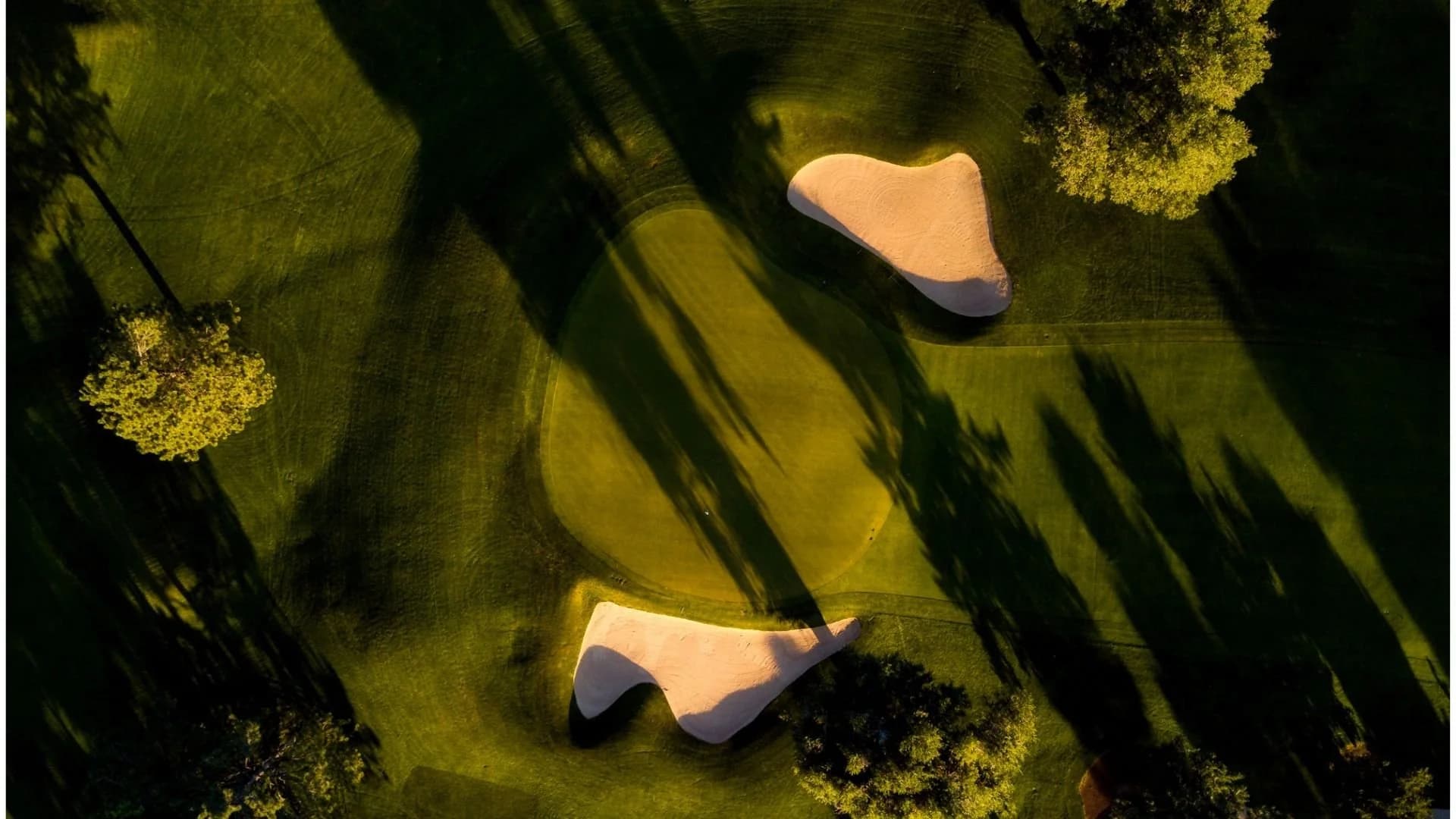 The Golf Cooperative