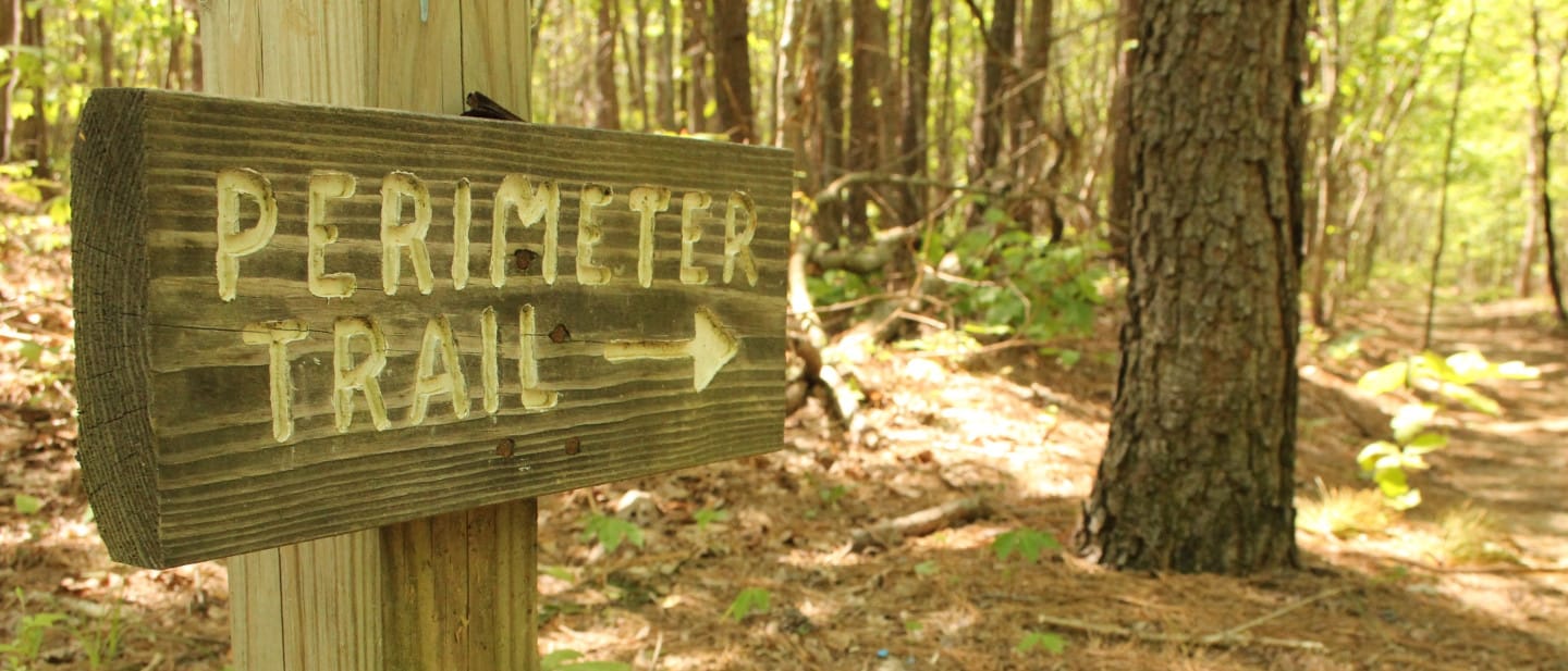 Sewanee - Image 1