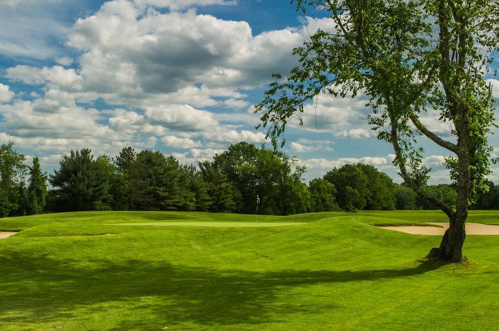 Raceway Golf Club - Image 1