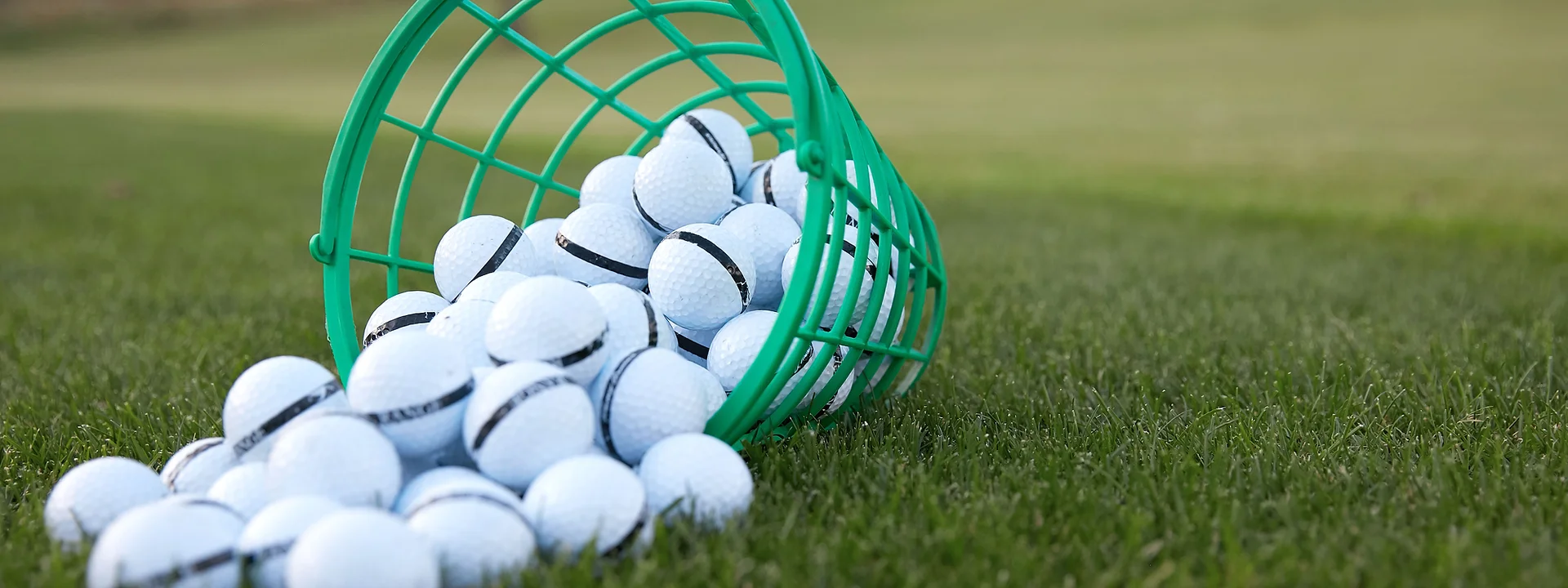 Birdie's Golf Club - Image 1