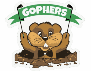 Gopher's Simulators - Image 1